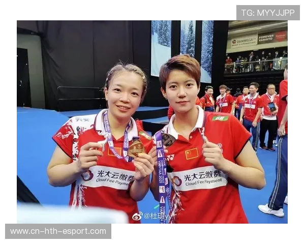 羽毛球奖牌分配机制与国家队投入效率分析