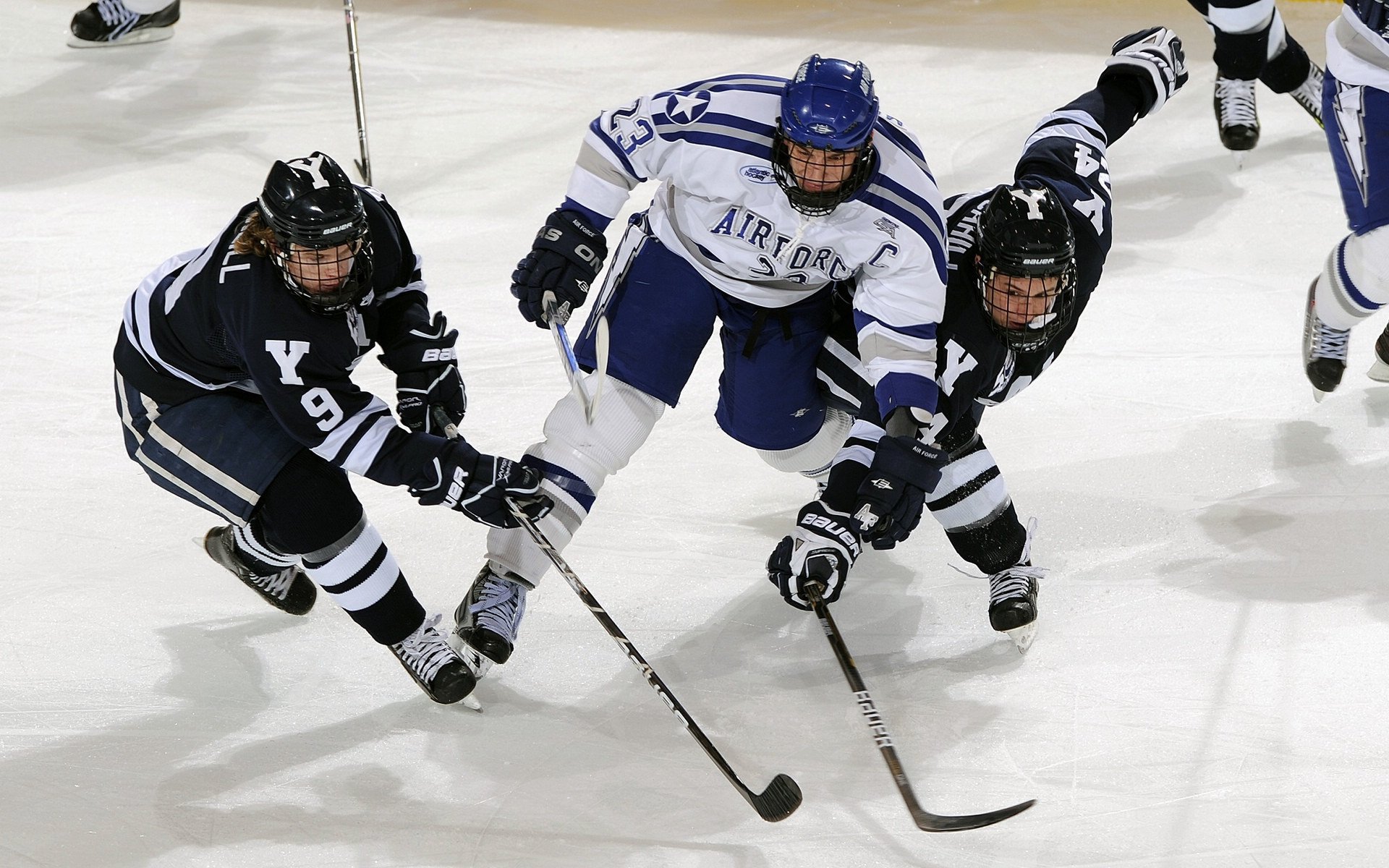 华体会app下载-城市马拉松沿线景观整治提升城市形象，城市马拉松产业链的解读分析